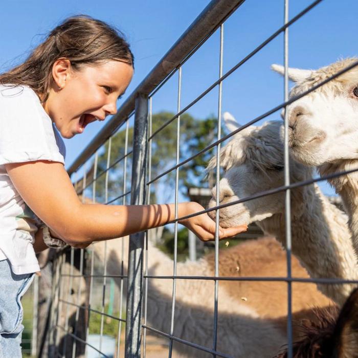 Trevena Glen Farm 2hr Premium Animal Tour