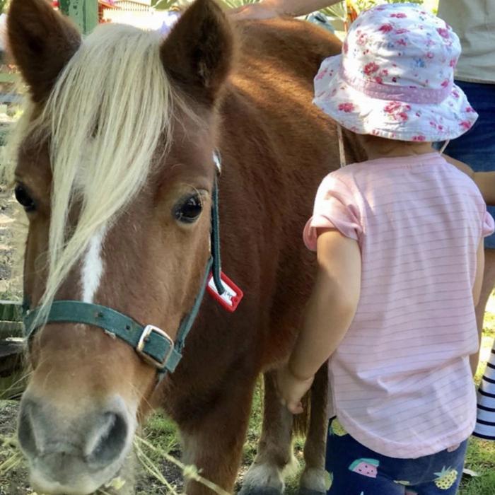 Trevena Glen Farm 3hr Premium Animal Tour