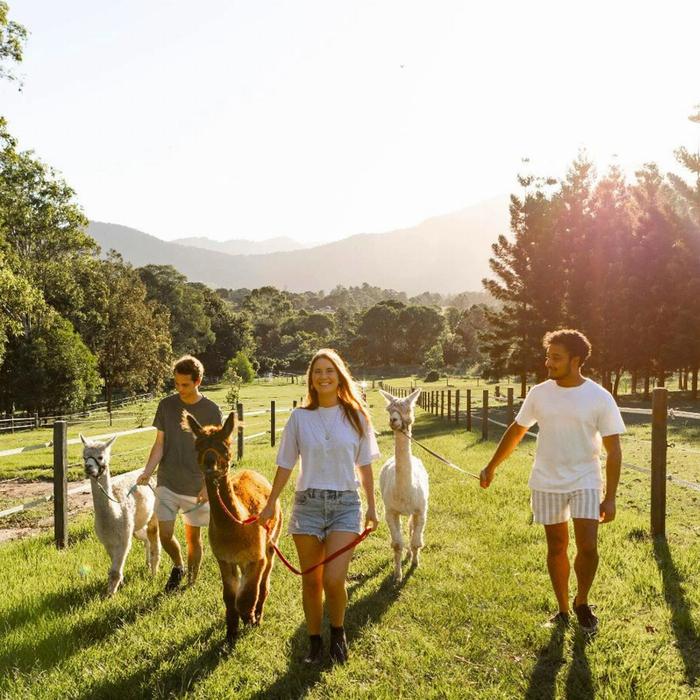 Trevena Glen Farm Escape Room and Premium 1hr Animal Tour