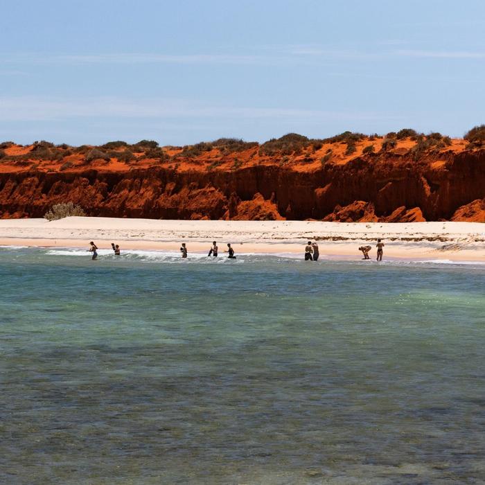 Shark Bay Eco Tours Francois Peron 4WD