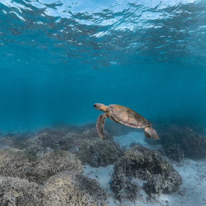 Shark Bay Eco Tours Steep Point & Dirk Hartog Island Full Day Marine Safari
