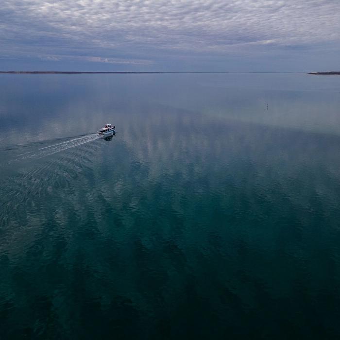 Shark Bay Eco Tours Sunset Cruise