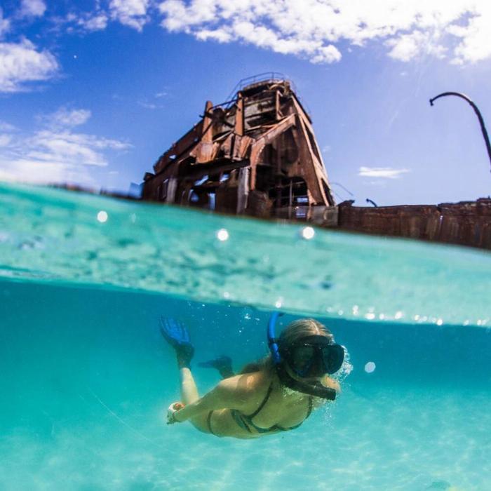 Tangalooma Island Resort Wrecked & Wild: Dolphins & Snorkel with Return Bus Transfers from Gold Coast