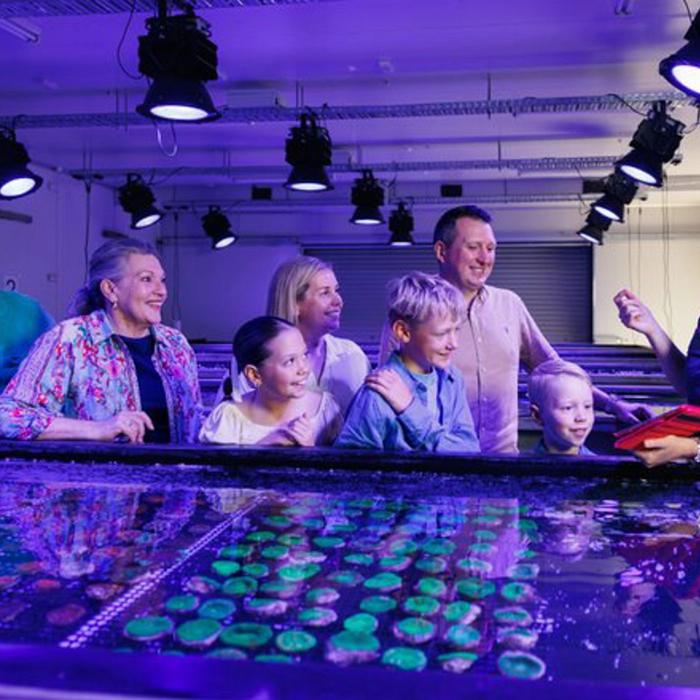 Monsoon Aquatics Coral Farm Tour