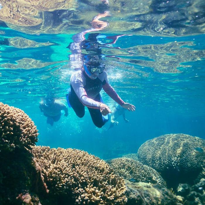 Rottnest Snorkel Private Charter Hire - Full Day