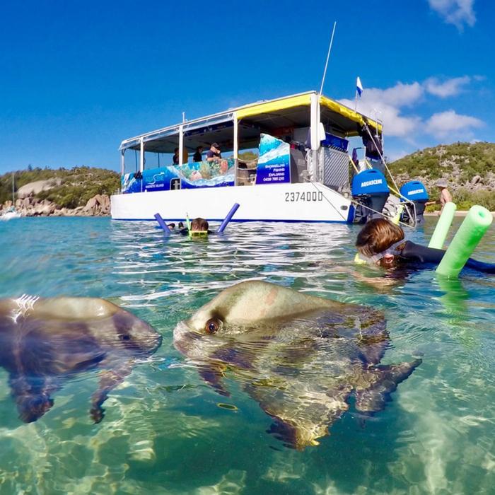 Aquascene Magnetic Island Discovery Eco Tour Departing Townsville