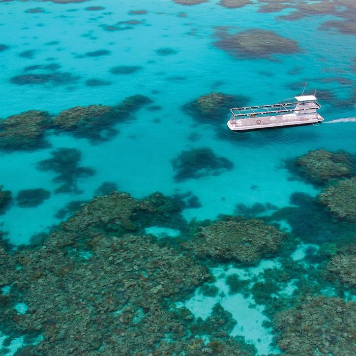 Quicksilver Cruises Quicksilver Agincourt Reef Pontoon Tour (+ 1 Helmet Diving)