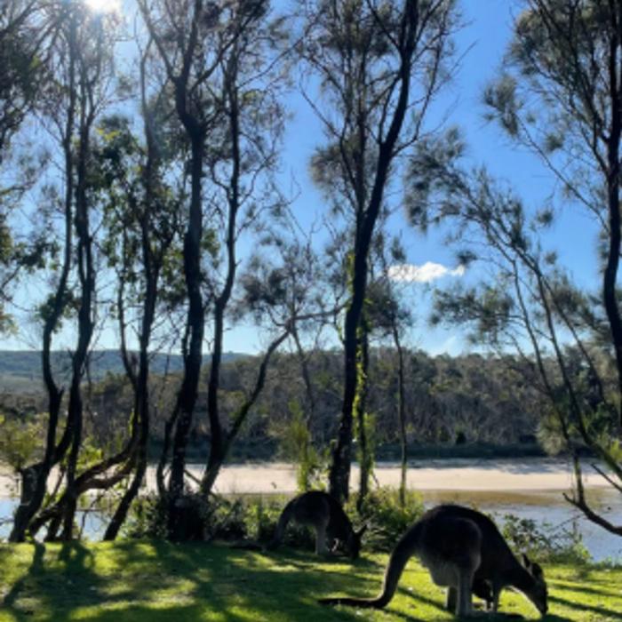 Bower Camp Co Yuraygir Coastal Walk - Twin Share