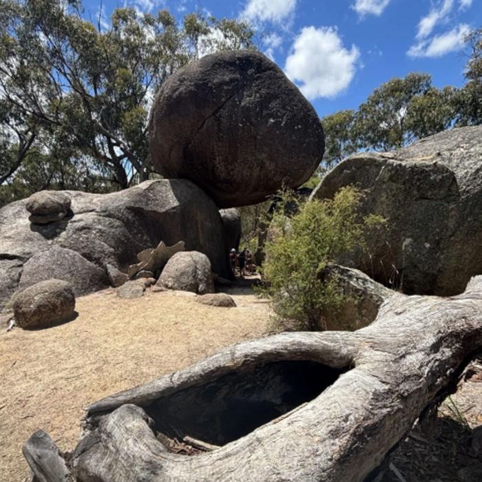 Bower Camp Co Yuraygir Coastal Walk - Twin Share