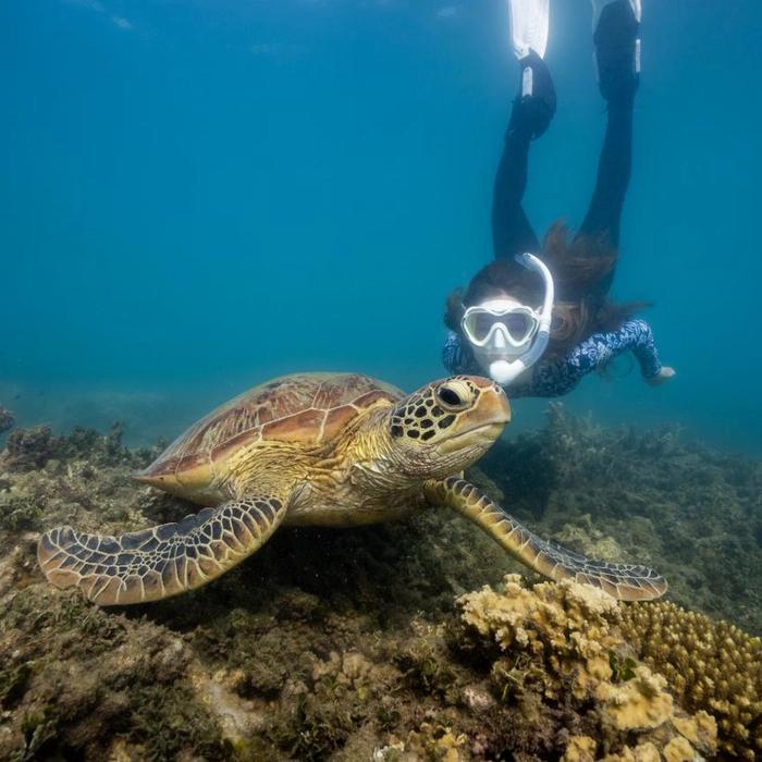Fitzroy Island Resort Fitzroy Island Half Day Tour from Cairns | Return Ferry (3:30pm - 8:30pm)