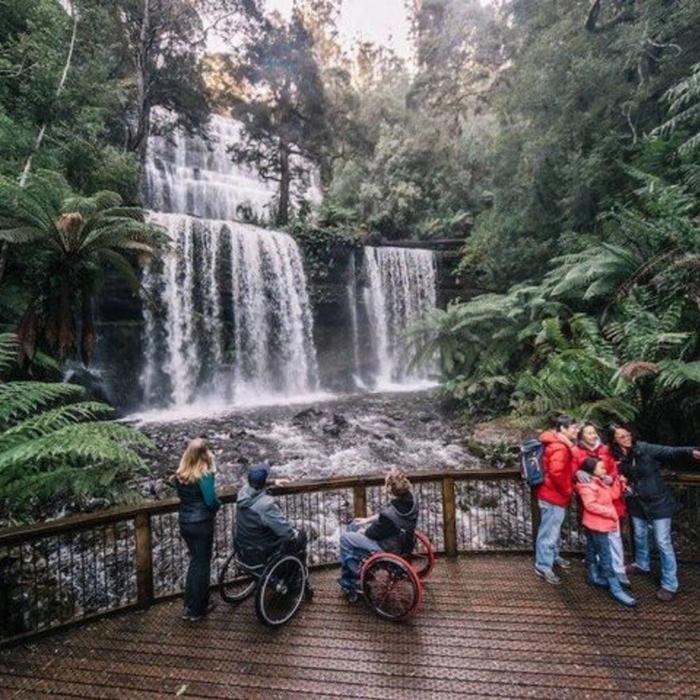 Safe Travel and Tour Services A Day Tour to Mt Field and Bonorong Wildlife Sanctuary