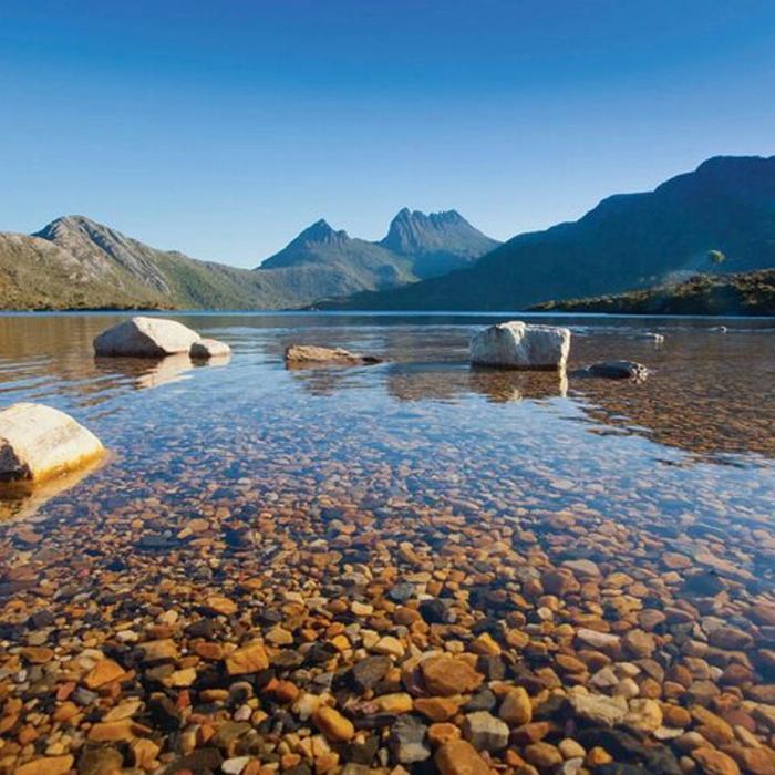 Safe Travel and Tour Services Cradle Mountain Day Tour from Launceston