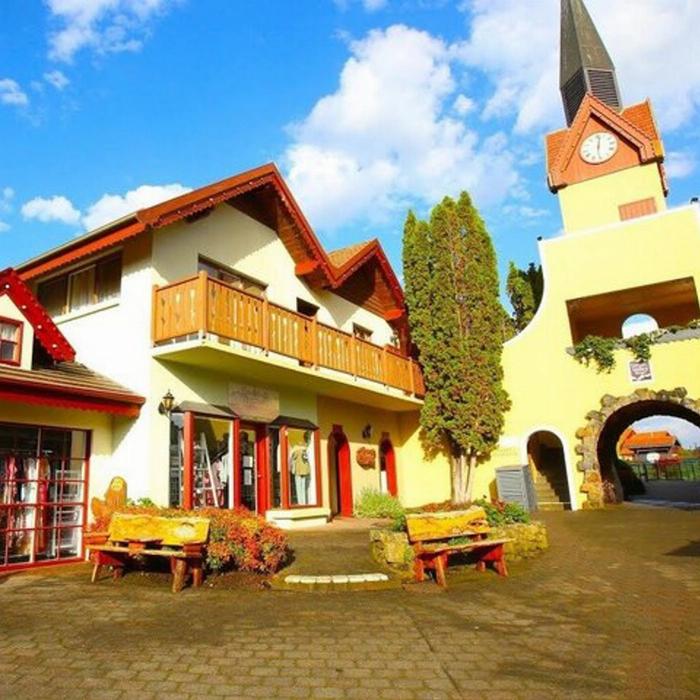 Safe Travel and Tour Services Hobart to Cataract Gorge and Grindelwald Swiss Tour