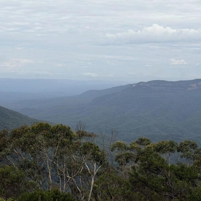 Salty Safaris Blue Mountains Day Trip