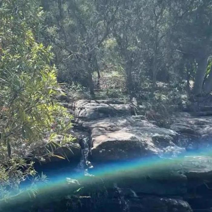 Salty Safaris Sydney: Hidden Beaches and Waterfalls Day Trip