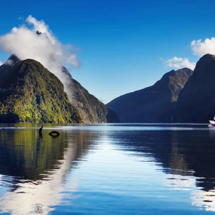 18 Day New Zealand Uncovered Tour