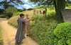 guidehobbiton.jpg