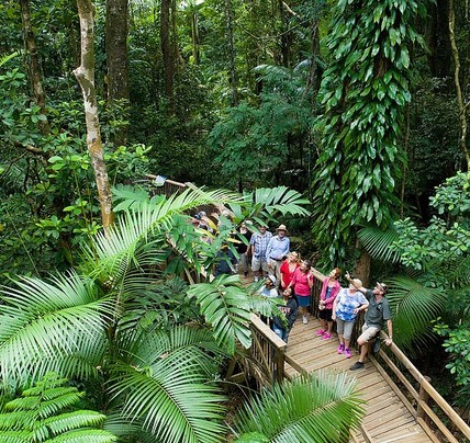 3 Day Reef & Rainforest Highlights 