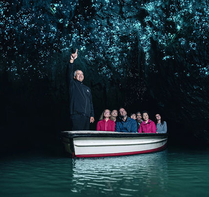 1 Day Hobbiton & Waitomo Caves Tour