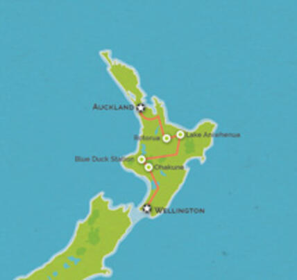 8 Day Auckland to Wellington
