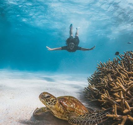 4 Day Perth to Monkey Mia
