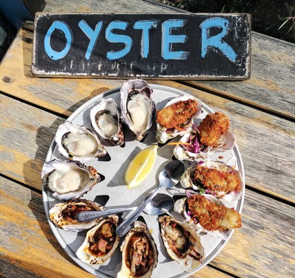 1 Day Bruny Island Food & Wine Tour