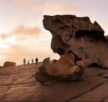 1 Day Kangaroo Island Experience 