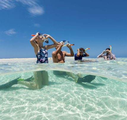 16 Days Sydney to Cairns Tour