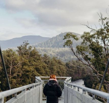 1 Day Tahune Airwalk & Hastings Caves