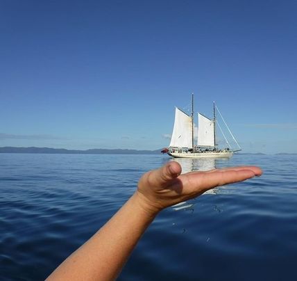 14 Days Sydney to Cairns Budget
