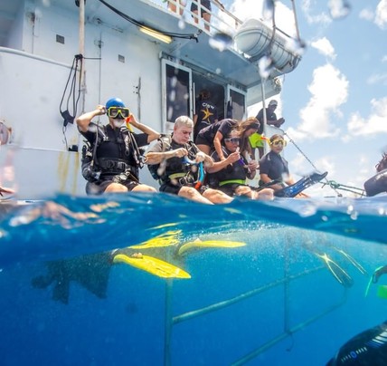 1 Day Snorkel Adventure