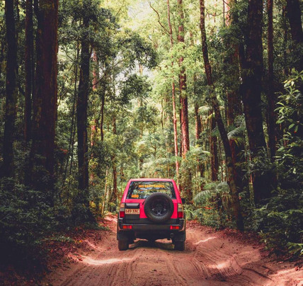 2 Day Fraser Island Self Drive Tour