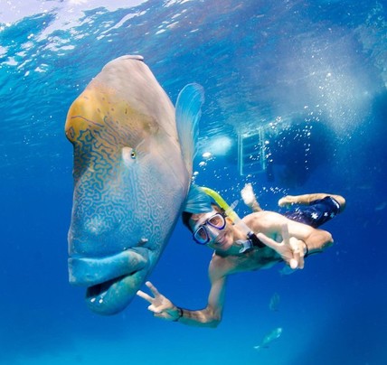 1 Day Luxury Reef Experience