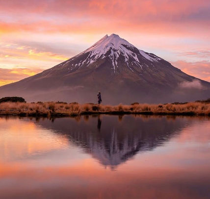 8 Day Auckland to Wellington