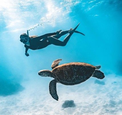 10 Day Cairns to Brisbane Highlights