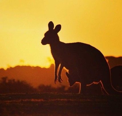 3 Day Uluru Safari