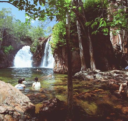 1 Day Litchfield Tour