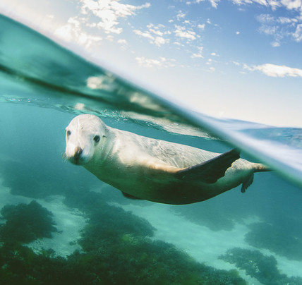10 Day Adelaide to Perth Tour