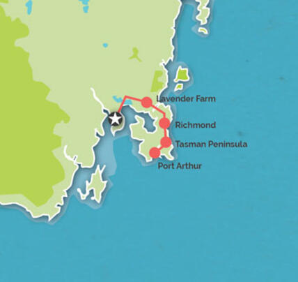 1 Day Port Arthur & Lavender Farm