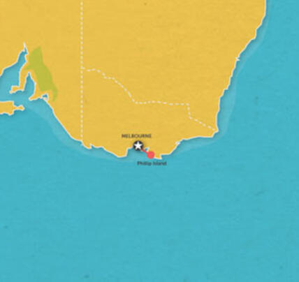 1 Day Phillip Island and Penguins