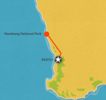 1 Day Pinnacles Sunset / Star Gazing Tour