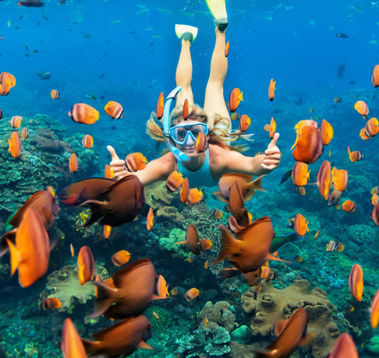 1 Day Great Barrier Reef