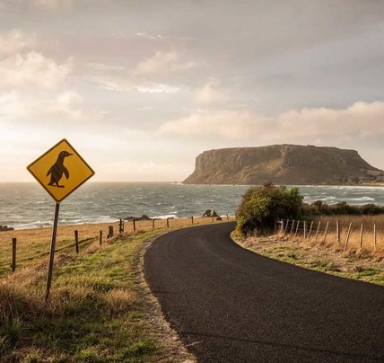 7 Day Tasmania Adventure