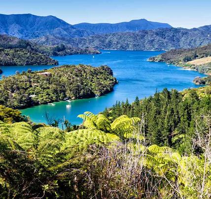 5 Day Queen Charlotte Track Walk