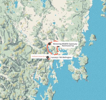 1 Day Hobart Highlights Tour