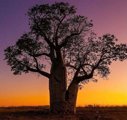 6 Day Uluru to Adelaide