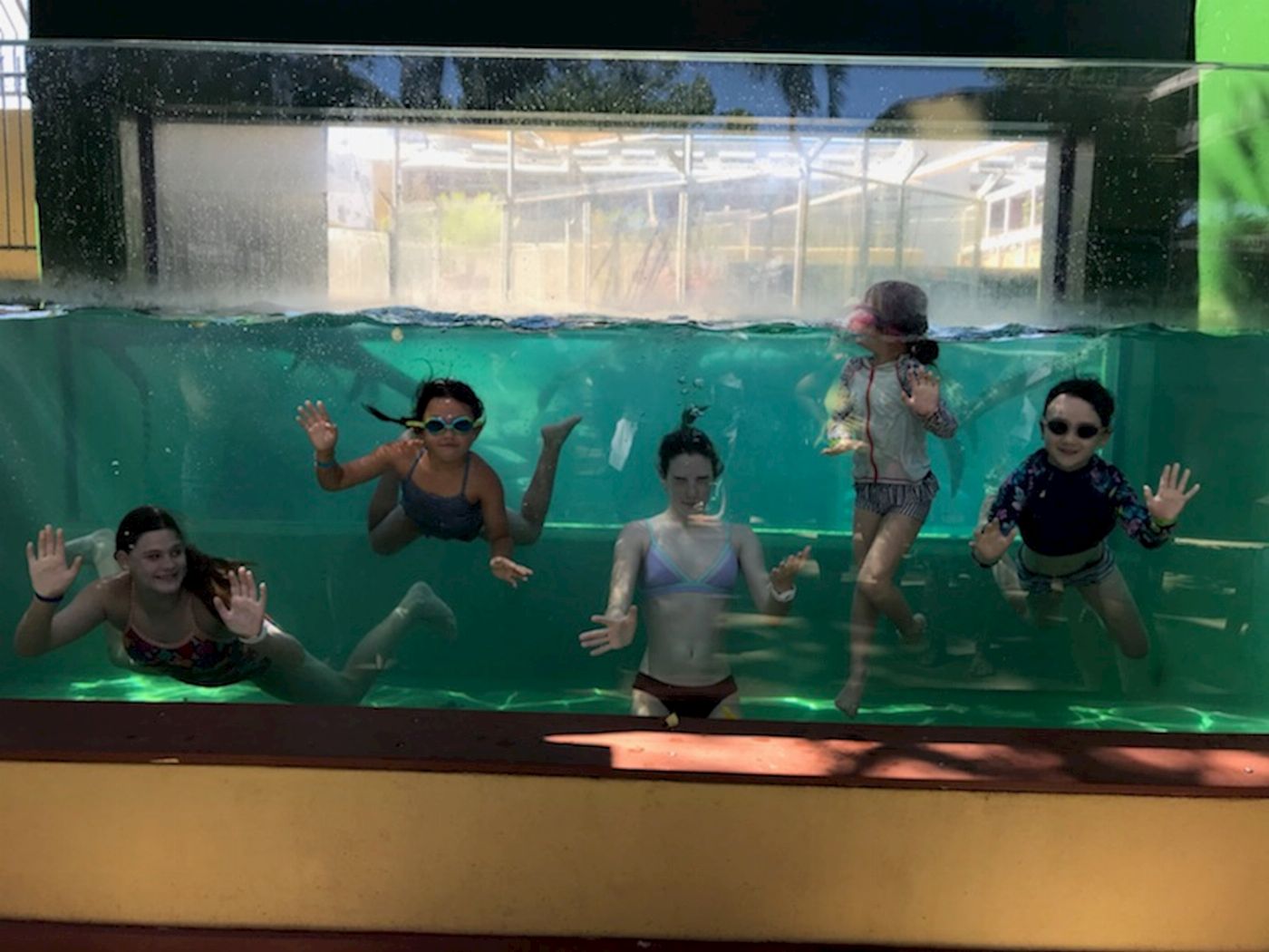 Crocosaurus Cove Day Entry
