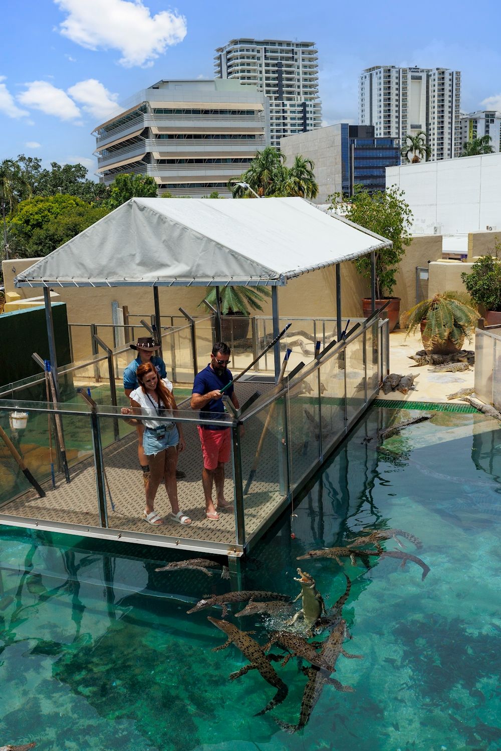 Crocosaurus Cove Day Entry