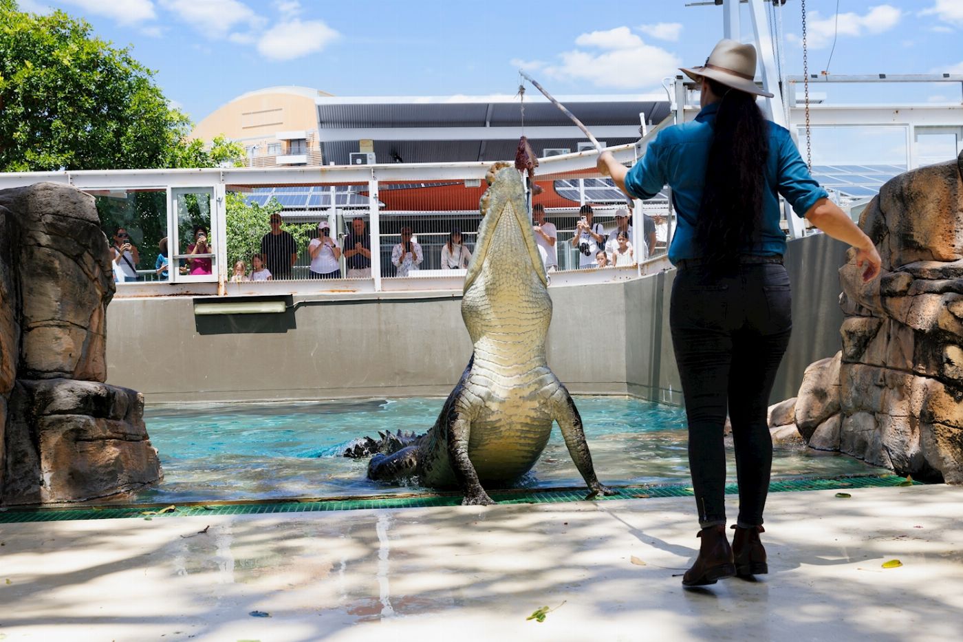 Crocosaurus Cove Day Entry