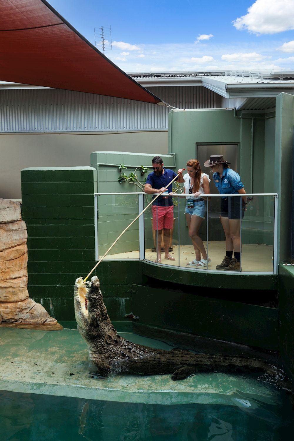 Crocosaurus Cove Big Croc Feed VIP Experience